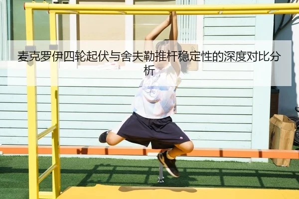 mai-ke-luo-yi-si-lun-qi-fu-yu-she-fu-lei-tui-gan-wen-ding-xing-de-shen-du-dui-bi-fen-xi-2-471.jpg