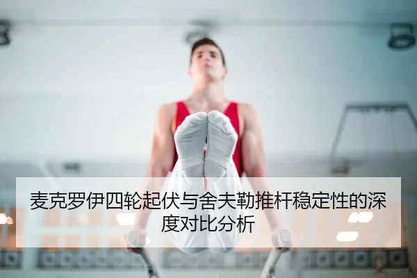 mai-ke-luo-yi-si-lun-qi-fu-yu-she-fu-lei-tui-gan-wen-ding-xing-de-shen-du-dui-bi-fen-xi-3-902.jpg