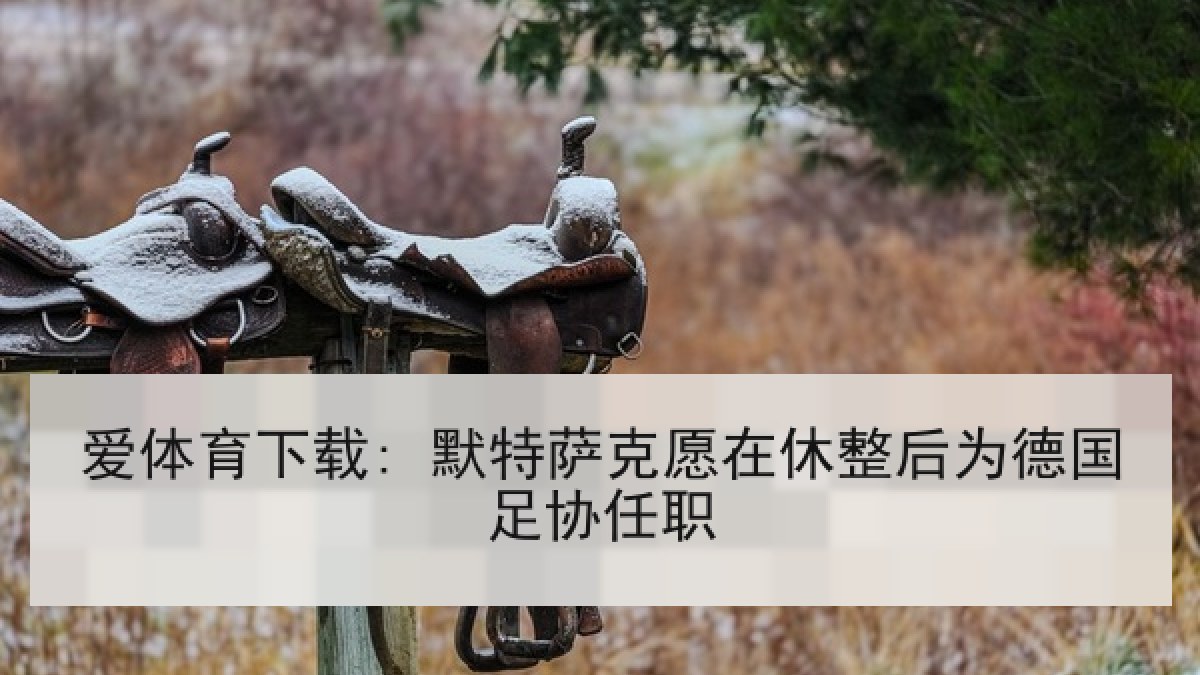 爱体育下载: 默特萨克愿在休整后为德国足协任职
