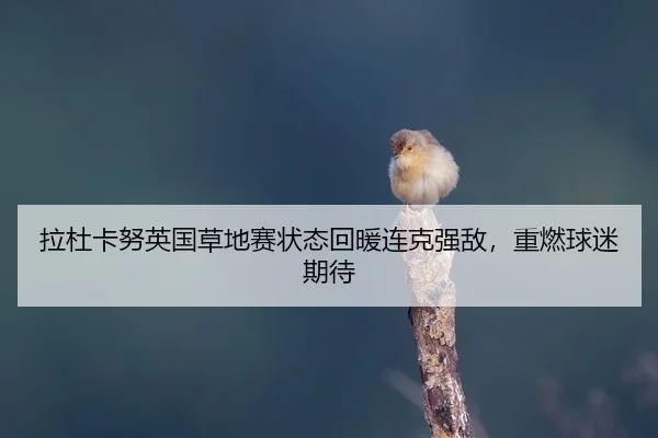 la-du-ka-nu-ying-guo-cao-di-sai-zhuang-tai-hui-nuan-lian-ke-qiang-di-zhong-ran-qiu-mi-qi-dai-2-512.jpg