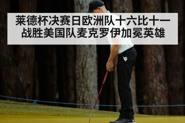 莱德杯决赛日欧洲队十六比十一战胜美国队麦克罗伊加冕英雄
